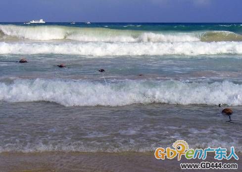 明示凶险的翻卷海浪（更可怕的是暗藏凶险的湾区海流）.jpg