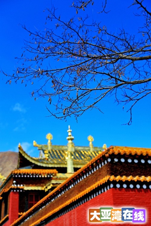10 有着七百多年历史的禅定寺，是甘南乃至安多藏区藏传佛教的发祥地之一.jpg