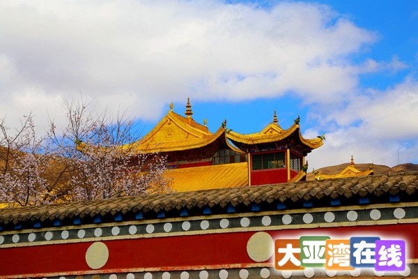 14 据考证，禅定寺始建于公元1254年，在金末元初时，元忽必烈邀请西藏萨迦法王八思巴去.jpg