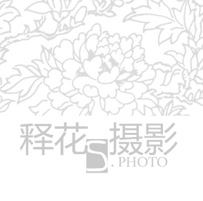 释花LOGO 拷贝.jpg