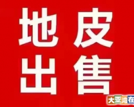 宅基地红本实用200平方实收100万